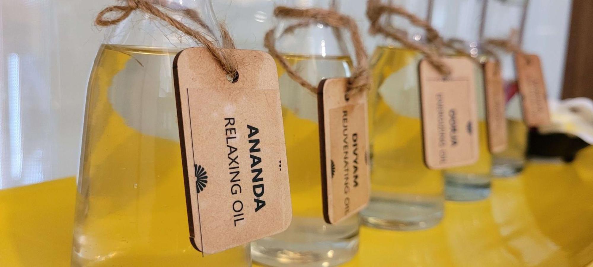 Radisson Blu Hotel, Велика Нойда Екстер'єр фото Ananda Hemp Oil